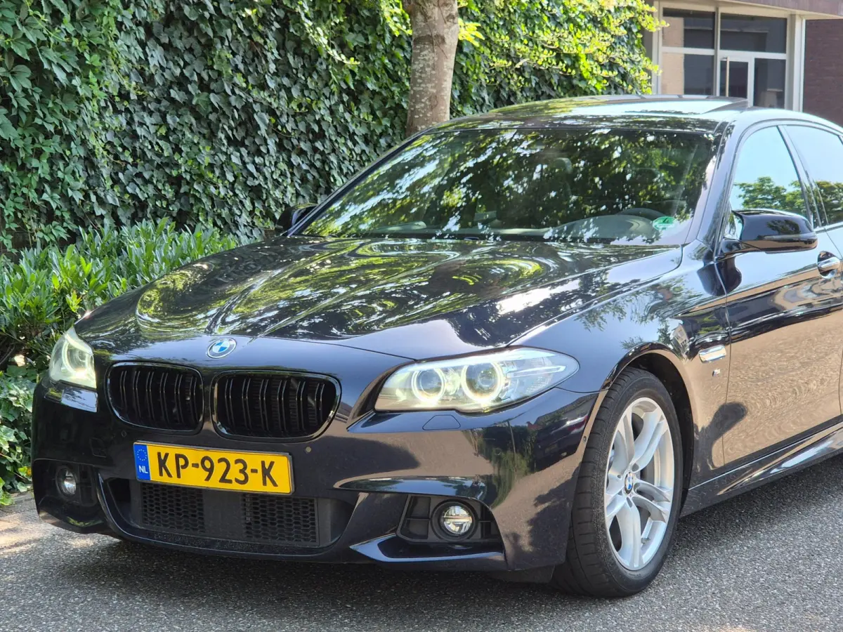 M Sport Edition High Executive Schuifdak Adaptieve Cruise Control Virtual Dash NAP 520i M Sport Edition High Executive