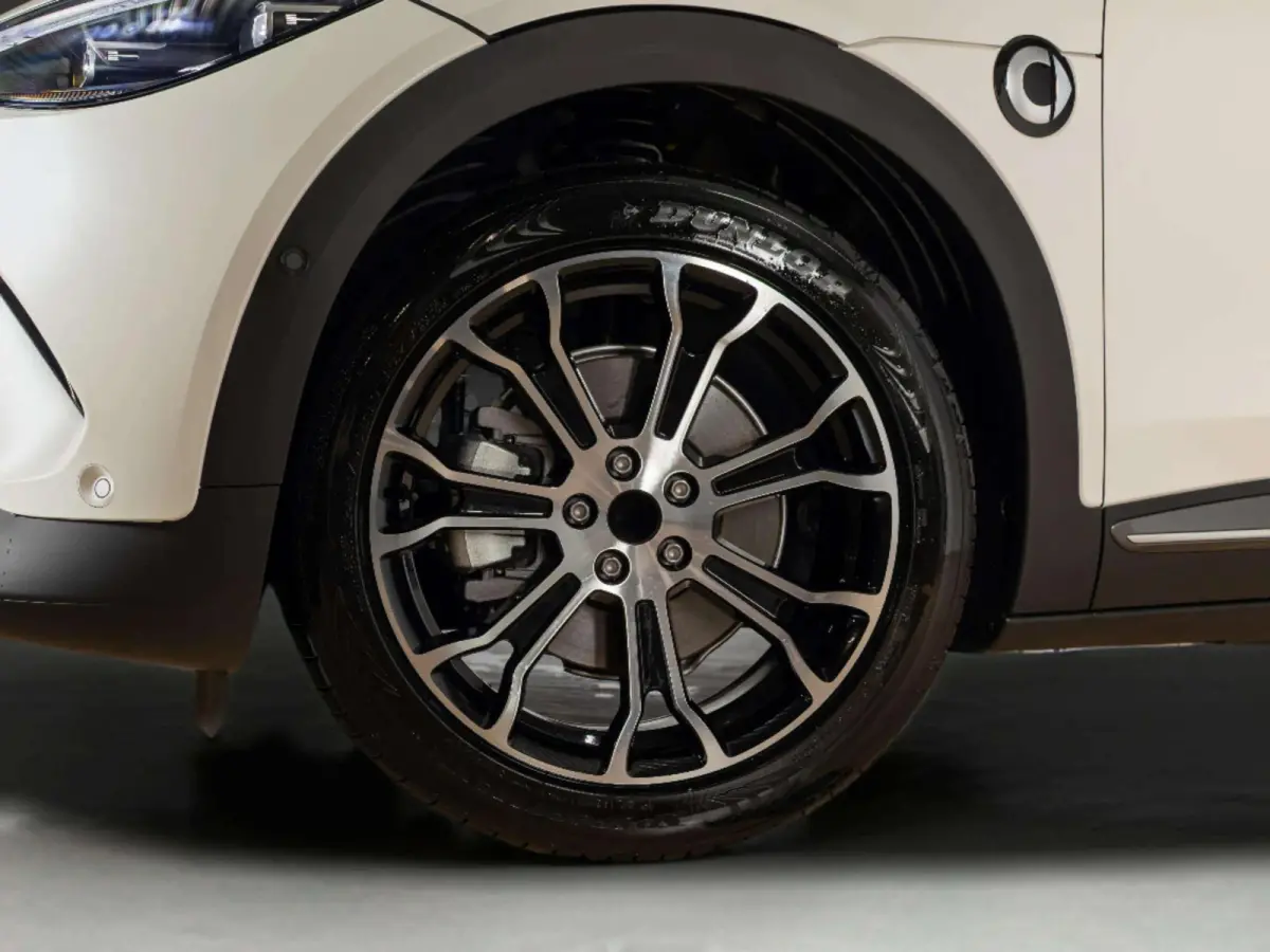 Premium 66 kWh