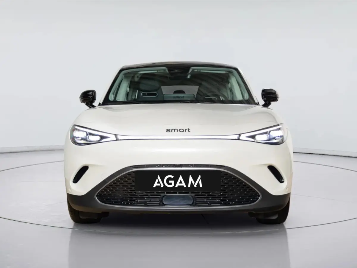 Premium 66 kWh