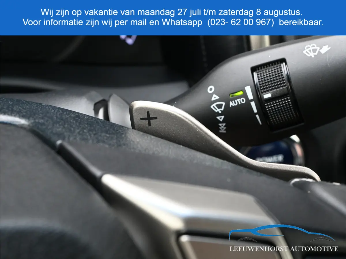 450h Business Line, 293 pk, alcantara, cruise, navi, clima, trekhaak, NL-dealerauto