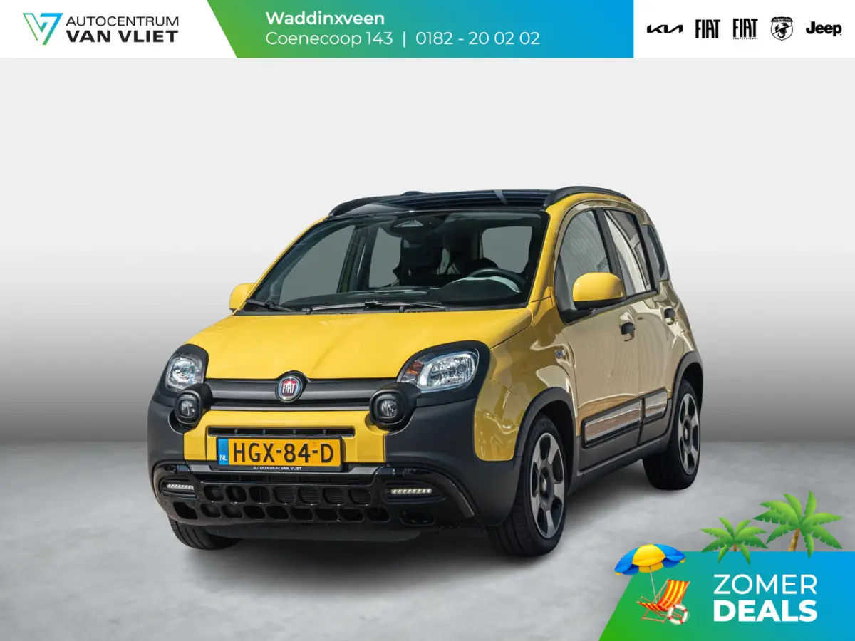 1.0 Hybrid Pandina Cross l Airco l Carplay l PDC