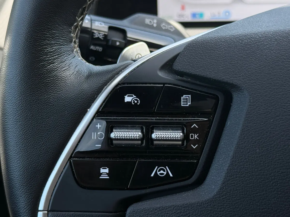 GT-Line 77.4 kWh 100% SOH PANO|MEMORY|TREKHAAK