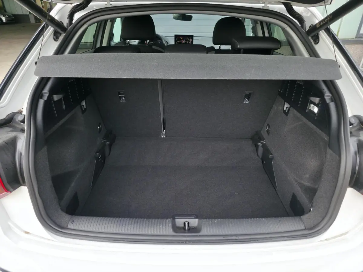 35 TFSI S Edition / Pano / Navi / Camera / Virtual