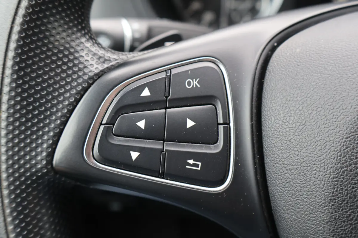 114 CDI Lang Automaat Bott Inrichting