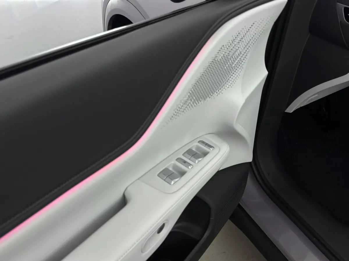 RWD Long Range 80.8 kWh Nieuw Model | Trekhaak | Apple Carplay