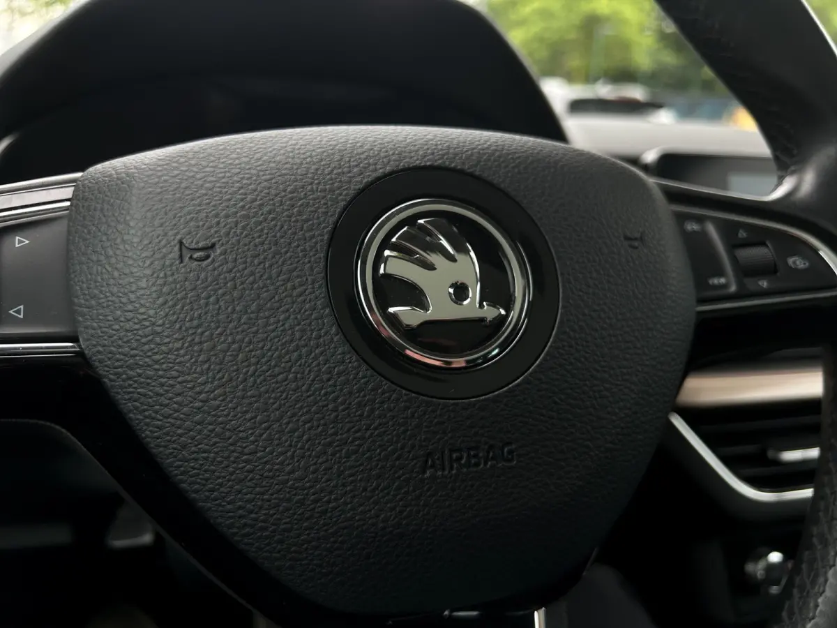 1.0 TSI 115pk First Edition | Panoramadak | Full LED | Cruise Control | Apple Carplay