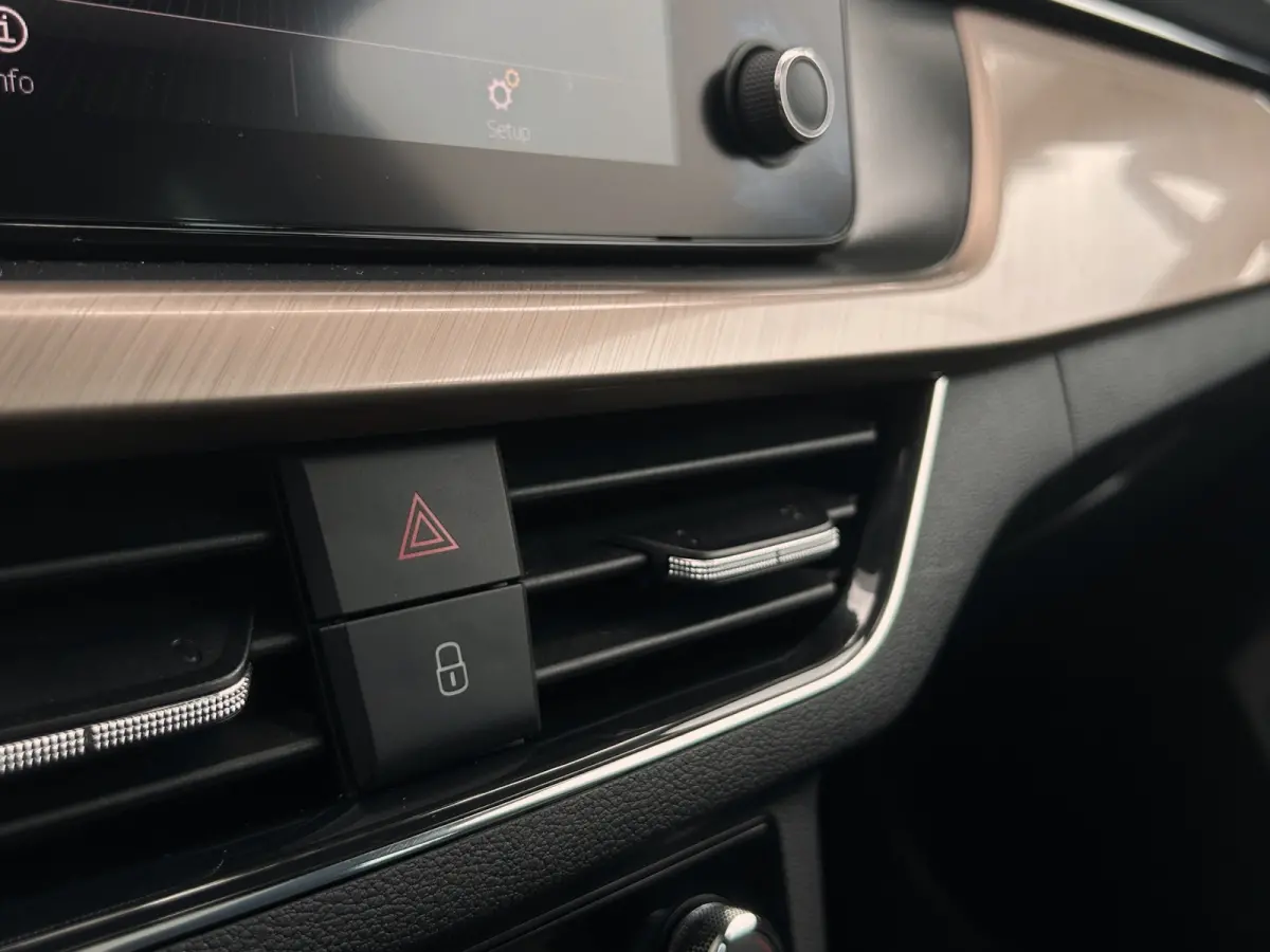 1.0 TSI 115pk First Edition | Panoramadak | Full LED | Cruise Control | Apple Carplay