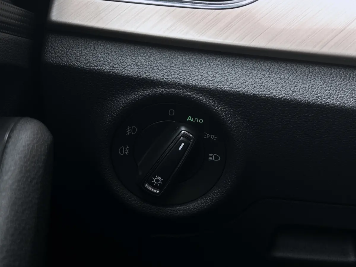 1.0 TSI 115pk First Edition | Panoramadak | Full LED | Cruise Control | Apple Carplay