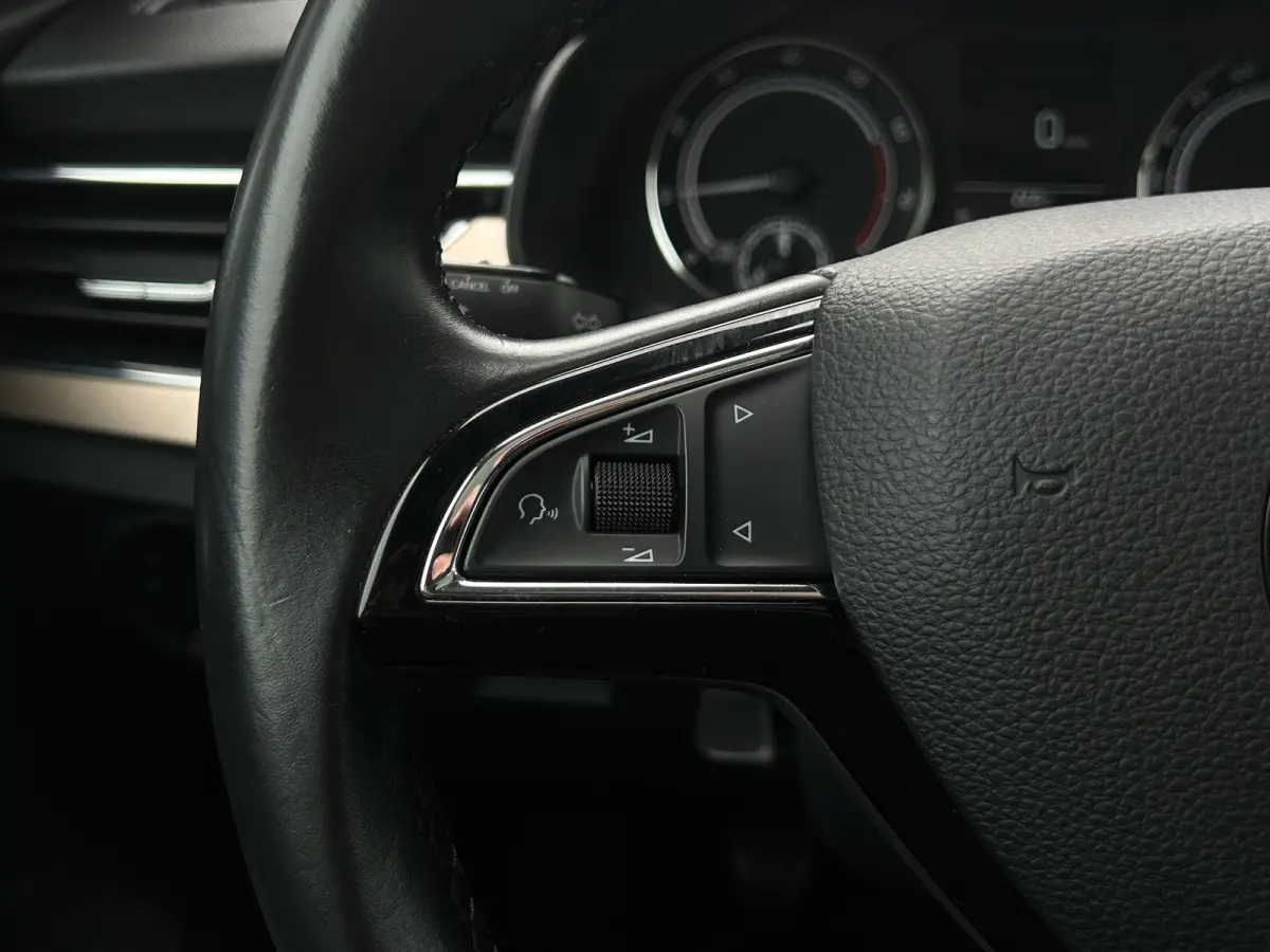 1.0 TSI 115pk First Edition | Panoramadak | Full LED | Cruise Control | Apple Carplay