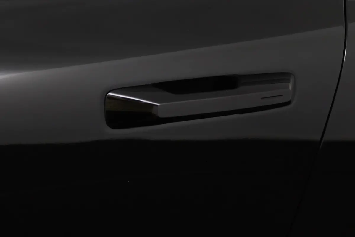 Single Motor Extended Range Plus 69 kWh | Leder | Harman/Kardon | Camera | Keyless | CarPlay/Android Auto | Adaptive Cruise | BLIS | Elektrische Achterklep