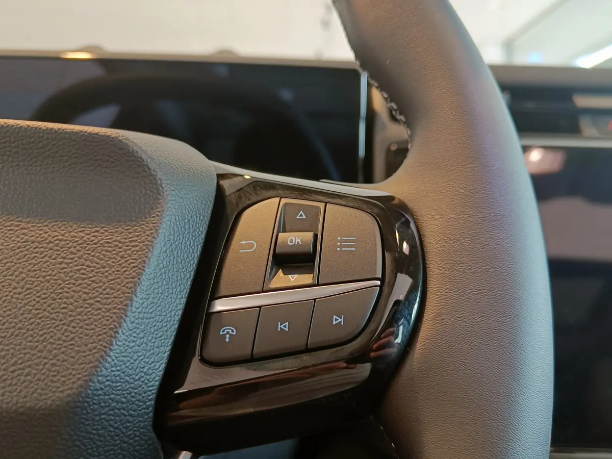 Premium 44 kWh | Achteruitrijcamera | Apple Carplay/Android Auto|telefoonintegratie premium | Buitenspiegels elektrisch verstel- en verwarmbaar