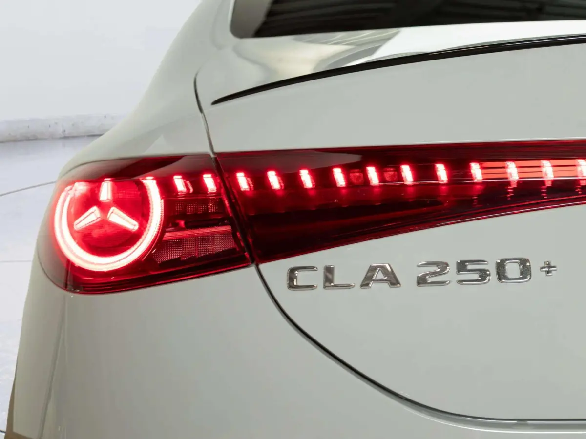 Limousine 250+ Launch Edition 85.5 kWh | Panorama dak