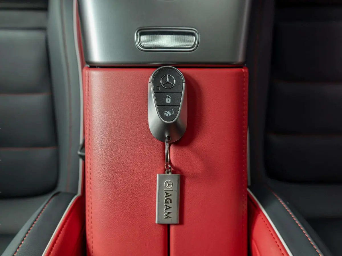 Limousine 250+ Launch Edition 85.5 kWh | Panorama dak