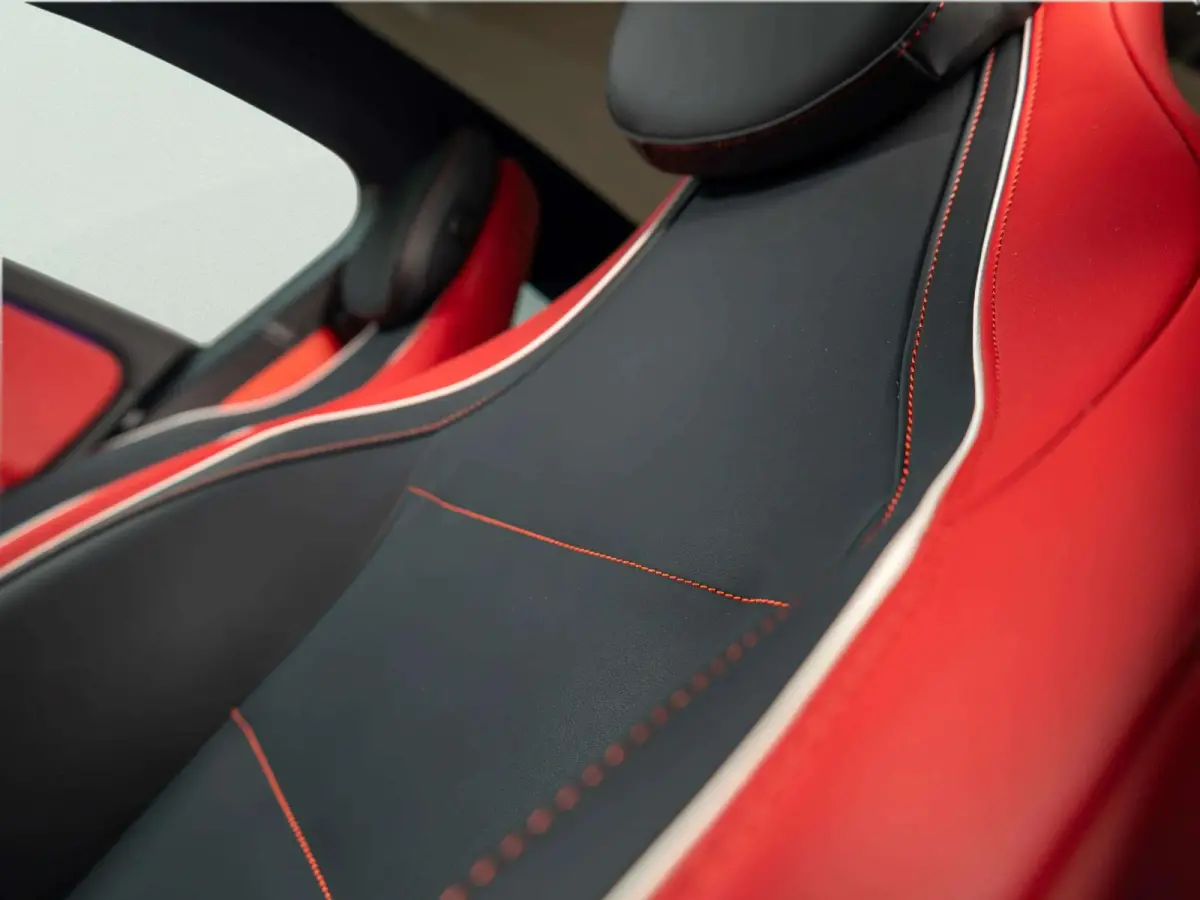 Limousine 250+ Launch Edition 85.5 kWh | Panorama dak