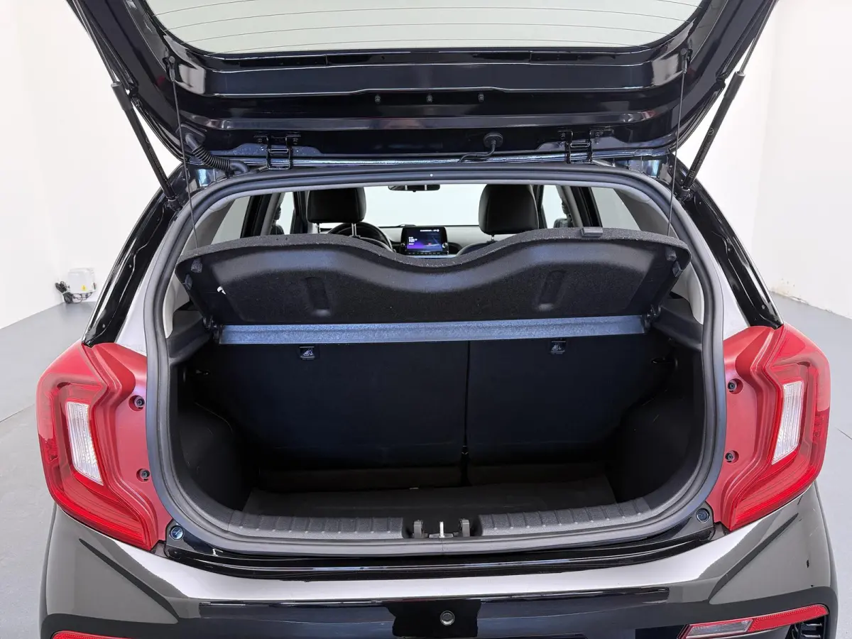 1.0 DPi GT-Line | Parkeercamera | Apple Car Play | Lederen Bekleding|