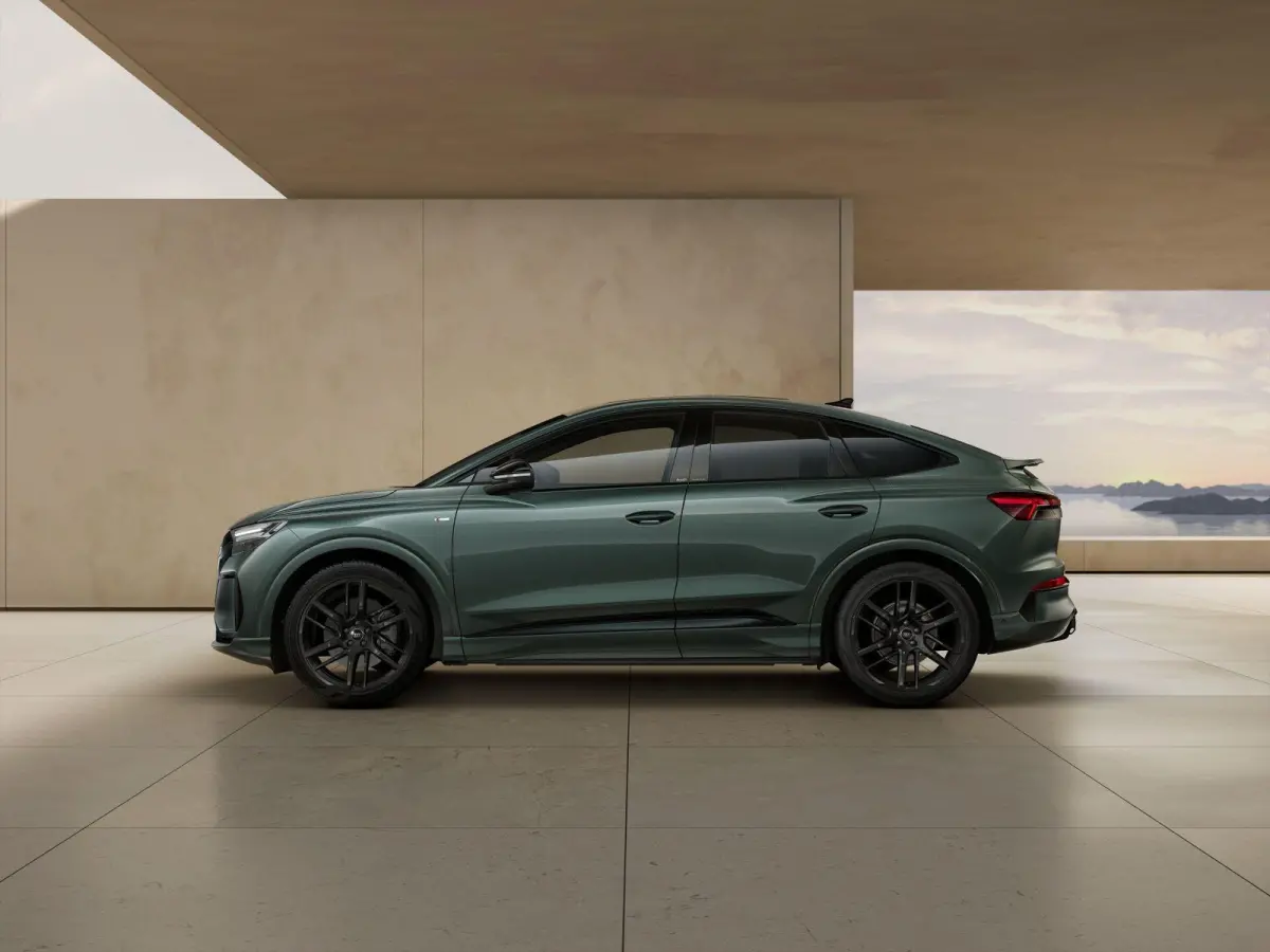 286pk S Edition Performance 82 kWh | Tech Pro | 21" Velgen
