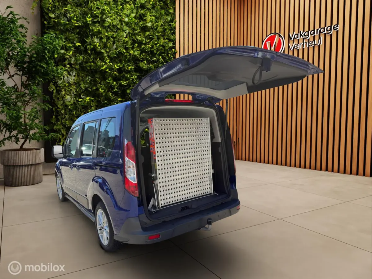 Compact 1.0 Trend