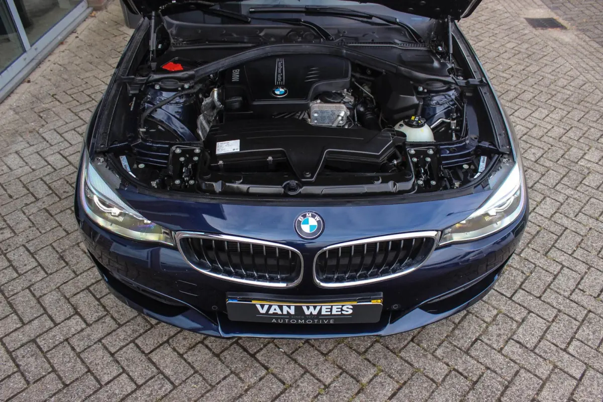 320i High Executive | Sport Line | NL auto | Keyless entry | Panoramadak | Xenon | HiFi audio | Navigatie Professional | Cruise control | M-sportstuur | PDC