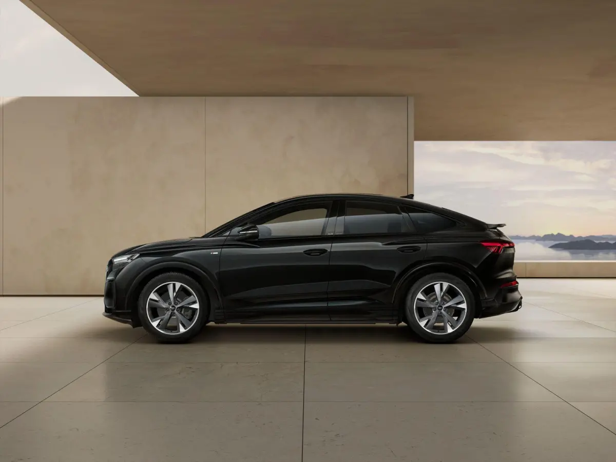 286pk S Edition 82 kWh | Bijrijders Display | Panoramadak