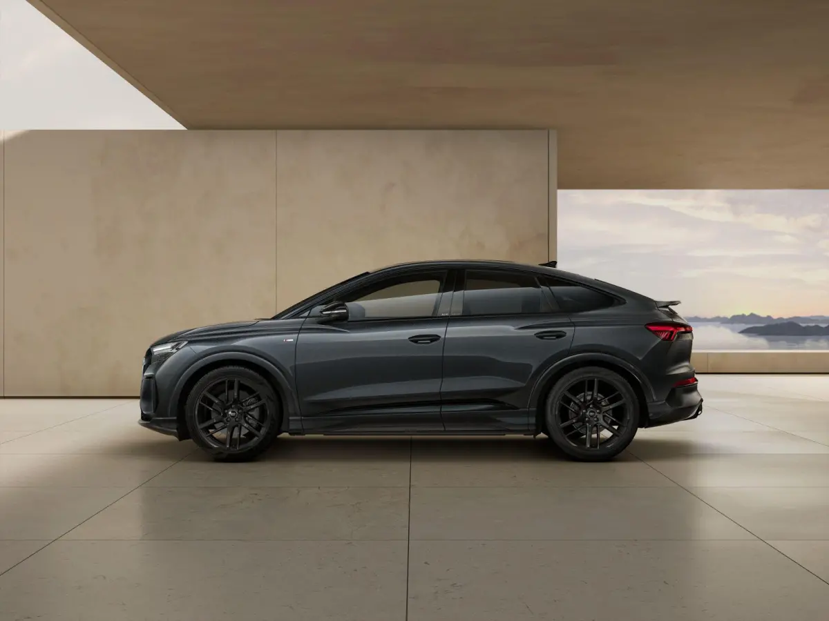 286pk S Edition 82 kWh | 21" Velgen | Panoramadak