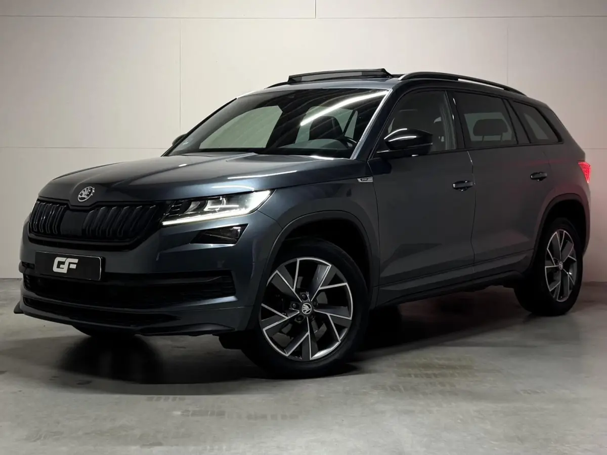 1.5 TSI Sportline Pano Canton Memory ACC Camera NAP