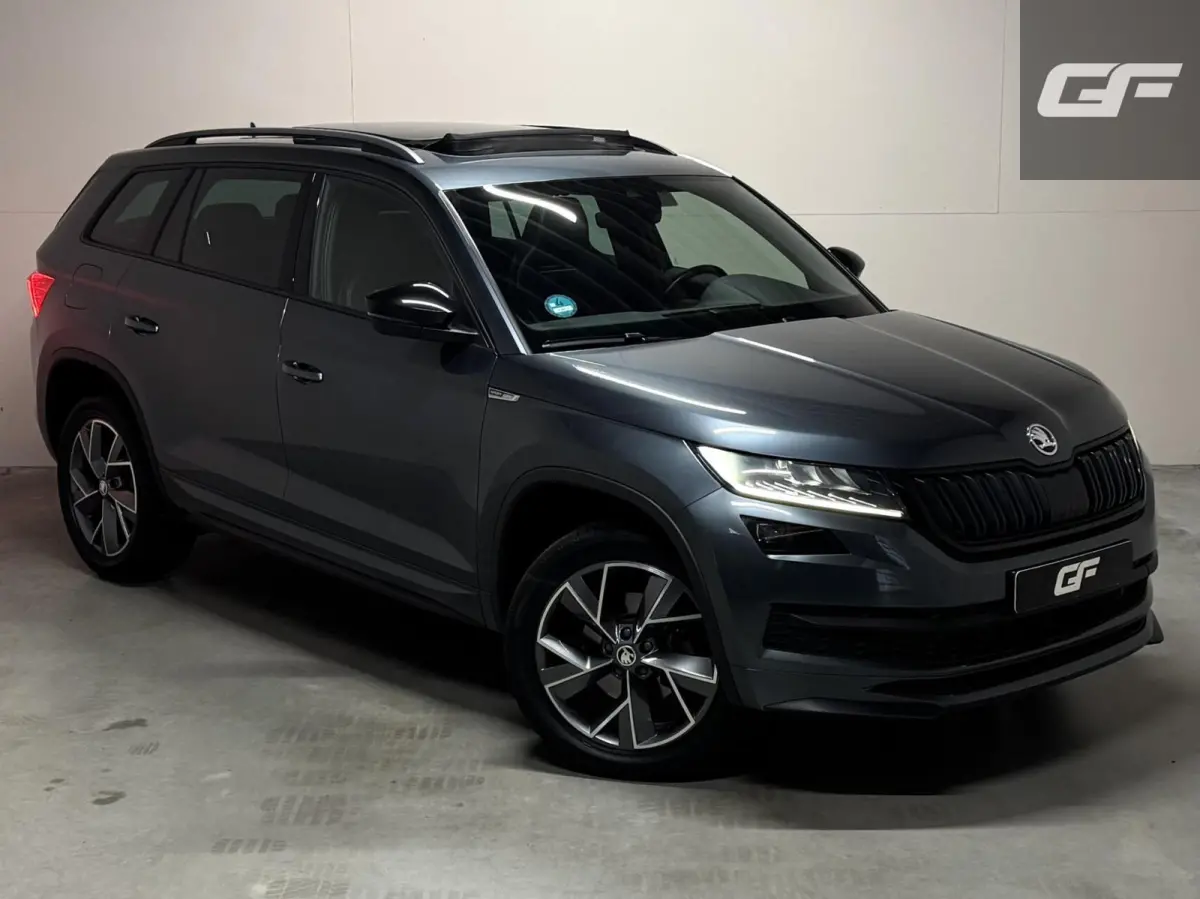 1.5 TSI Sportline Pano Canton Memory ACC Camera NAP
