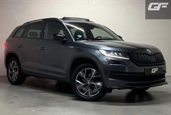 1.5 TSI Sportline Pano Canton Memory ACC Camera NAP