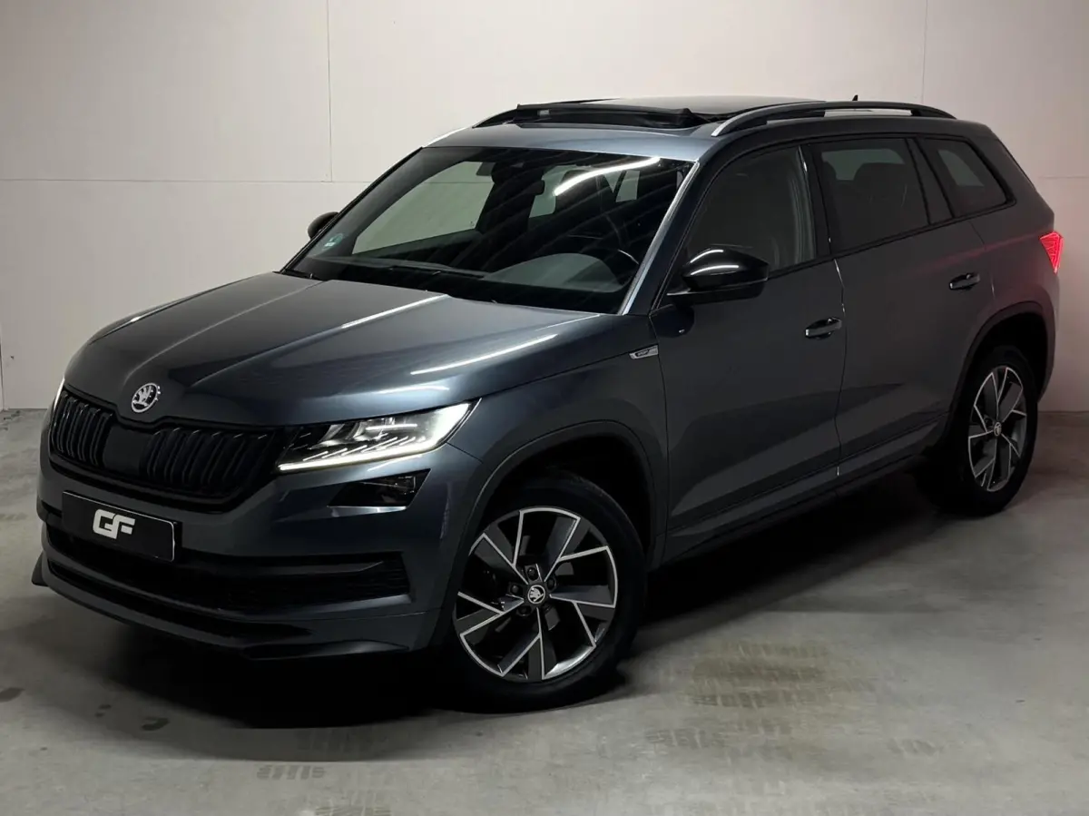 1.5 TSI Sportline Pano Canton Memory ACC Camera NAP