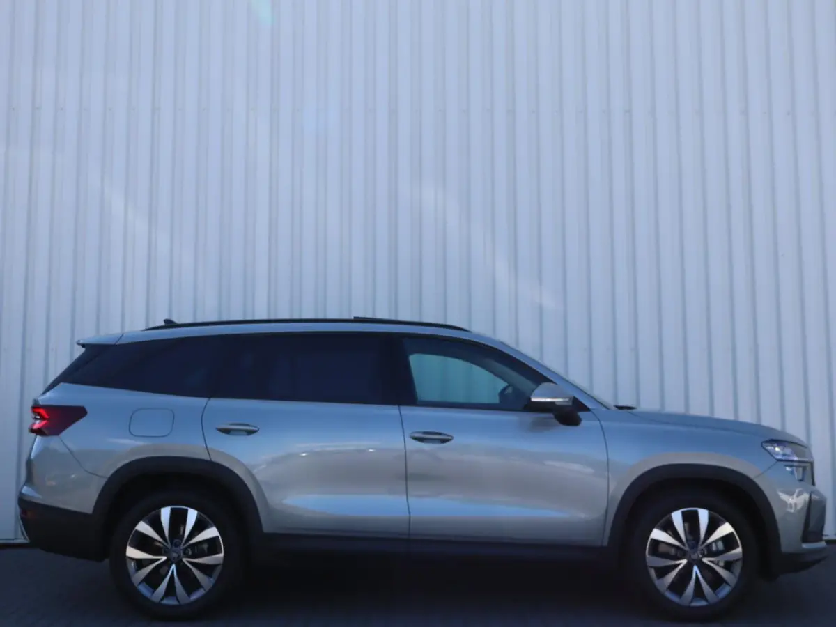 1.5 TSI 204pk PHEV Business Edition Plus | Panoramadak | 19" velgen