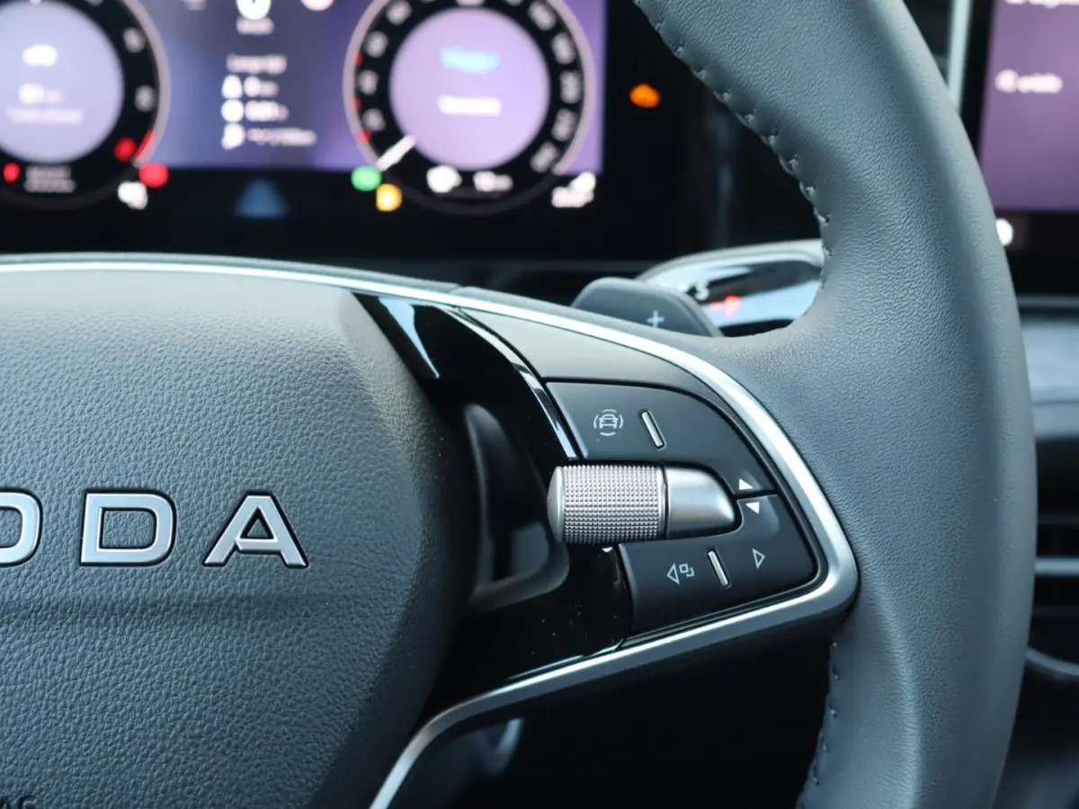 1.5 TSI 204pk PHEV Business Edition Plus | Panoramadak | 19" velgen
