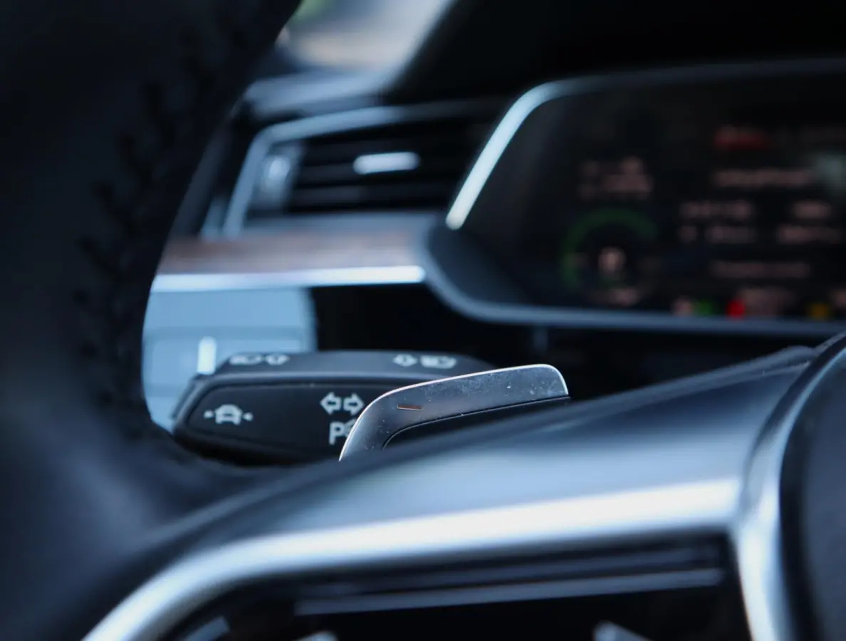 e-tron 55 quattro advanced Pro Line Plus 95 kWh | Pano | Trekhaak | ACC | Leer