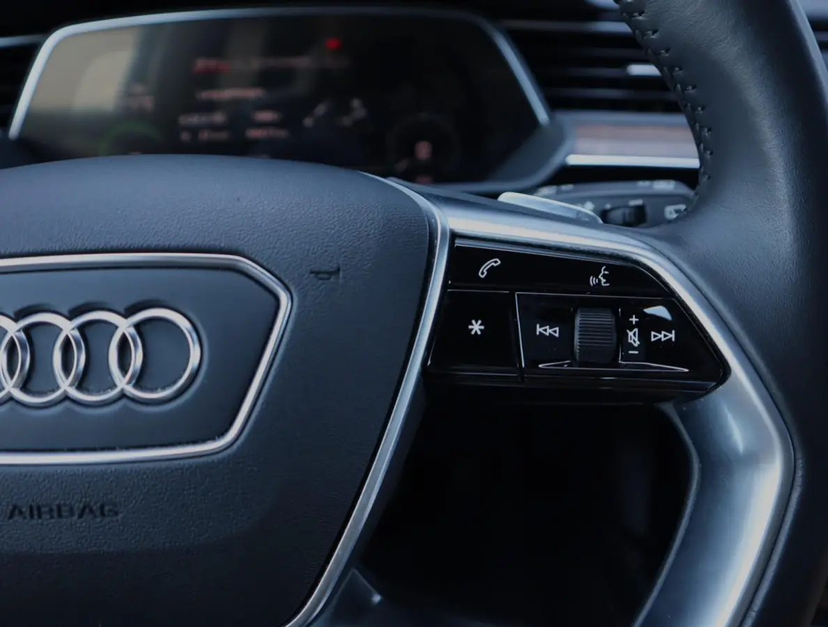 e-tron 55 quattro advanced Pro Line Plus 95 kWh | Pano | Trekhaak | ACC | Leer
