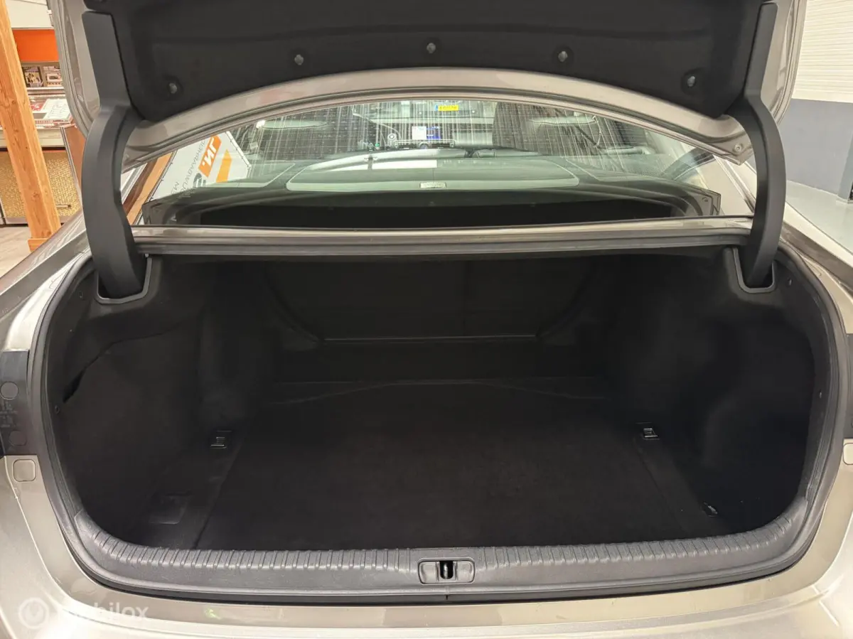300h F SPORT Schuifdak|ML-Audio|LED|19"|NL-Auto!
