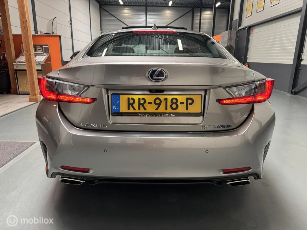 300h F SPORT Schuifdak|ML-Audio|LED|19"|NL-Auto!