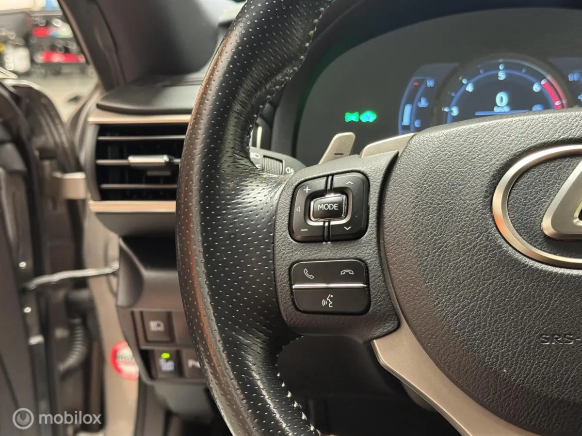 300h F SPORT Schuifdak|ML-Audio|LED|19"|NL-Auto!