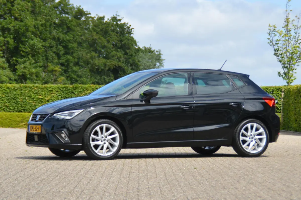 1.0 EcoTSI FR 95 pk 41.378 km