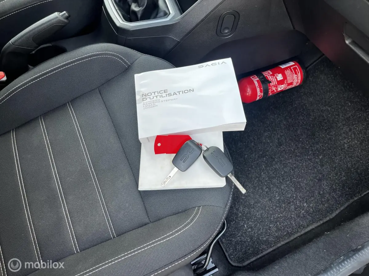 1.0 TCe AIRCO/CRUISE/PDC/5PERS/SCHADE
