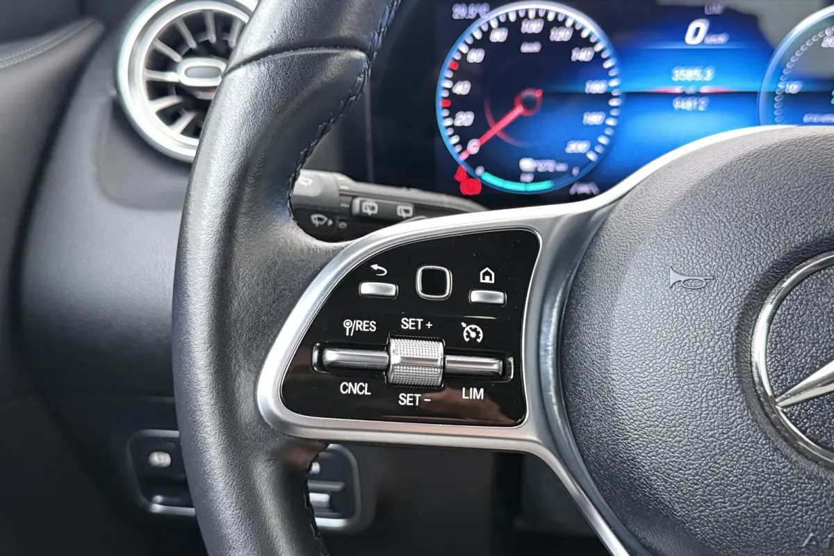 250 Business Solution Luxury 67 kWh (SOH 94%) Sfeerverlichting Camera Cruise