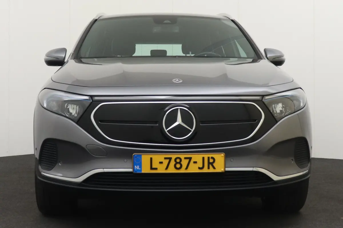 250 Business Solution Luxury 67 kWh (SOH 94%) Sfeerverlichting Camera Cruise