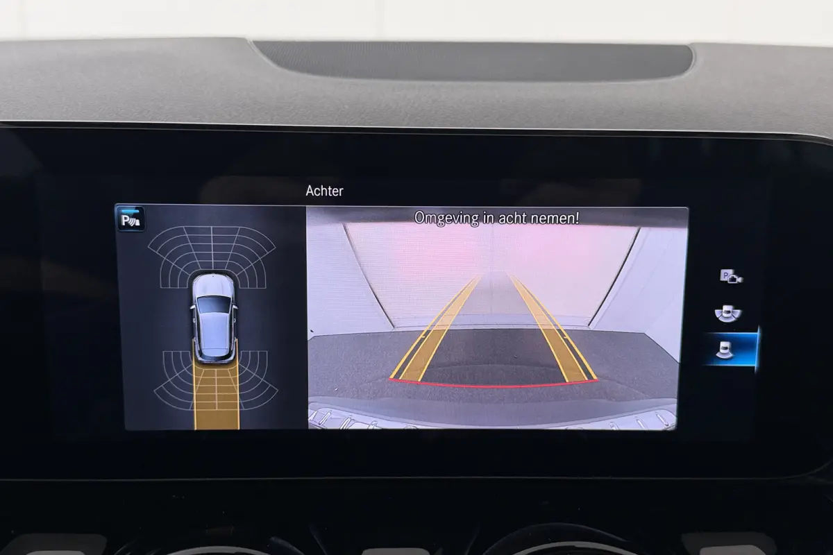 250 Business Solution Luxury 67 kWh (SOH 94%) Sfeerverlichting Camera Cruise