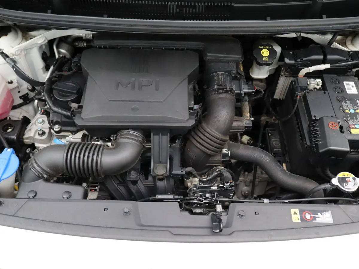1.0 DPi DynamicLine | Airco | Apple Carplay / Android Auto | Camera |