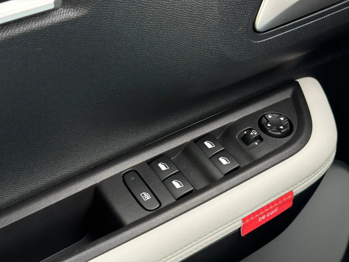 Max 113pk 44 kWh Soh 100 % | Achteruitrijcamera | Cruise control | DAB | Apple carplay & Android auto