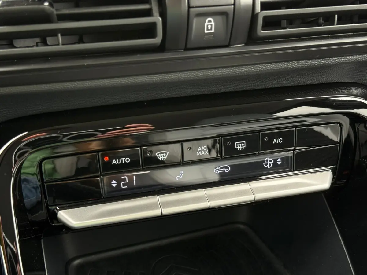 Max 113pk 44 kWh Soh 100 % | Achteruitrijcamera | Cruise control | DAB | Apple carplay & Android auto