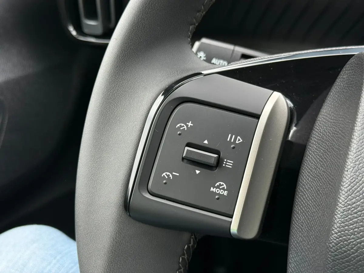 Max 113pk 44 kWh Soh 100 % | Achteruitrijcamera | Cruise control | DAB | Apple carplay & Android auto