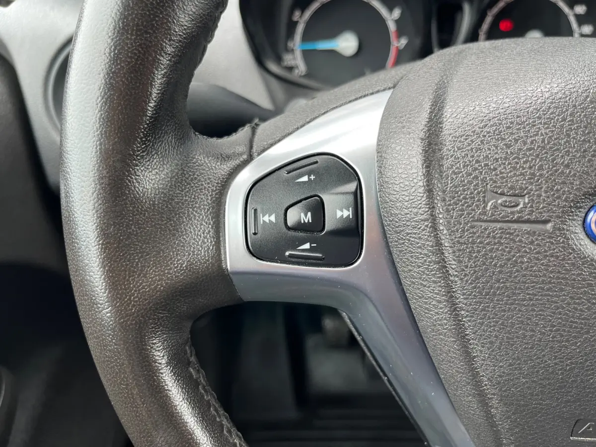 1.0 Trend EcoBoost S&S Benzine/NL.Auto/Cruise/Airco/Stoelverw./Zijschuifdeur/1Ste Eigenaar/Dealer Onderhouden