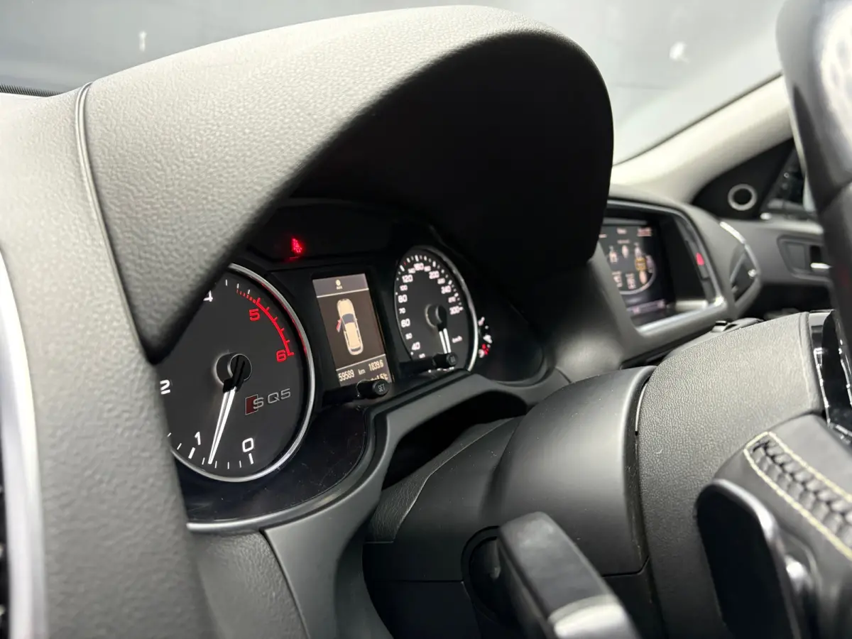 SQ5 Plus 3.0 TDI quattro Pro Line