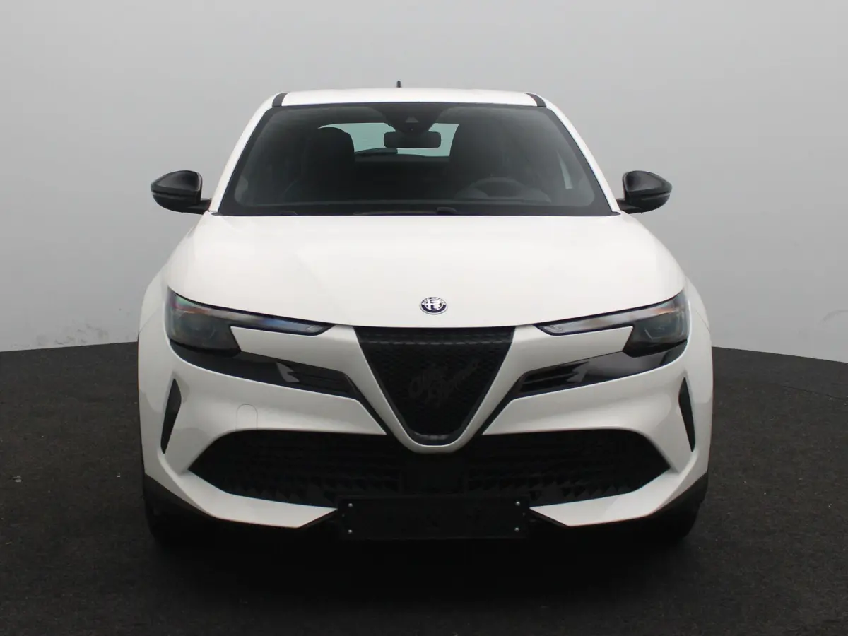 Elettrica 54 kWh | Direct Rijden | Apple Carplay & Android Auto | Parkeersensoren Achter | Cruise Control |
