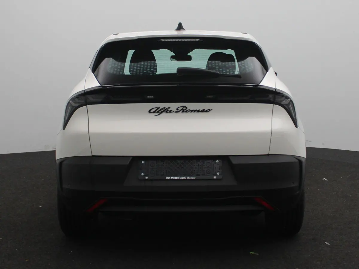 Elettrica 54 kWh | Direct Rijden | Apple Carplay & Android Auto | Parkeersensoren Achter | Cruise Control |