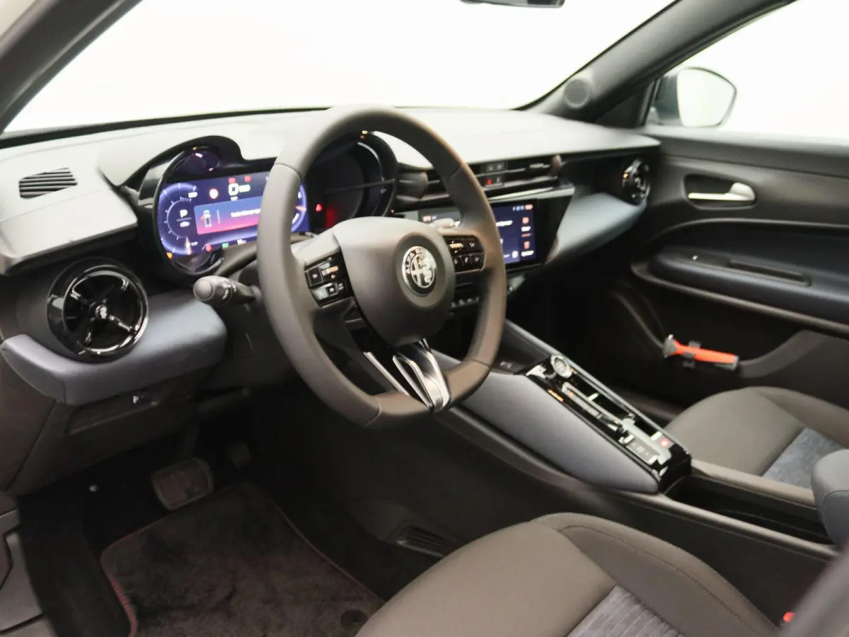 Elettrica 54 kWh | Direct Rijden | Apple Carplay & Android Auto | Parkeersensoren Achter | Cruise Control |