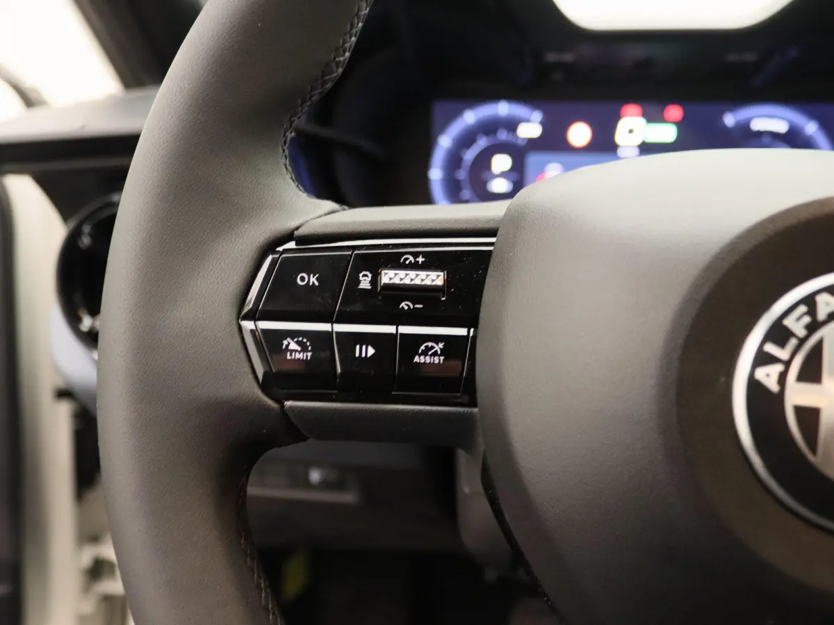Elettrica 54 kWh | Direct Rijden | Apple Carplay & Android Auto | Parkeersensoren Achter | Cruise Control |
